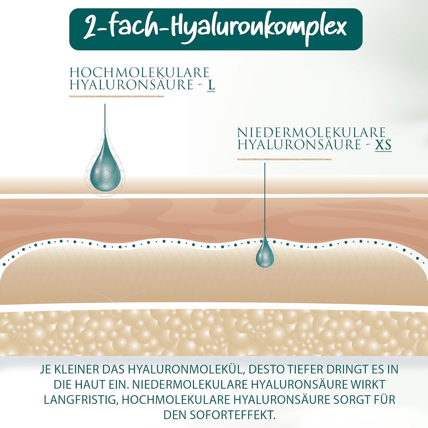 BIO Hyaluron Cream with Coenzyme Q10 | High-Dose Hyaluronic Acid | 4-in-1 Anti-Wrinkle Treatment - 100ml | Day & Night Moisturizer | Hydrating Hyaluronic Acid Cream