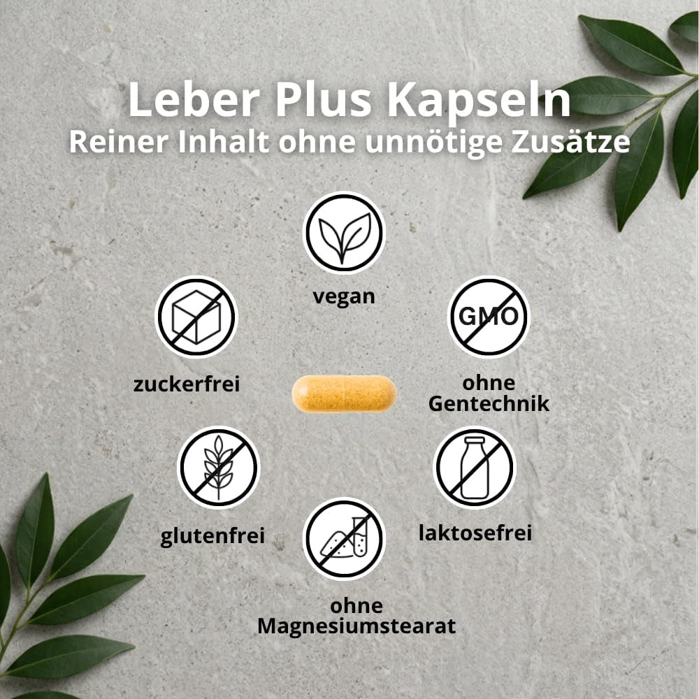 Leber plus Hochdosiert - 80% Silymarin, Mariendistel Kapseln Mit Artischocke, Löwenzahn, Curcuma & Cholin - 120 Kapseln - Vegan - Milk Thistle - Made in Germany