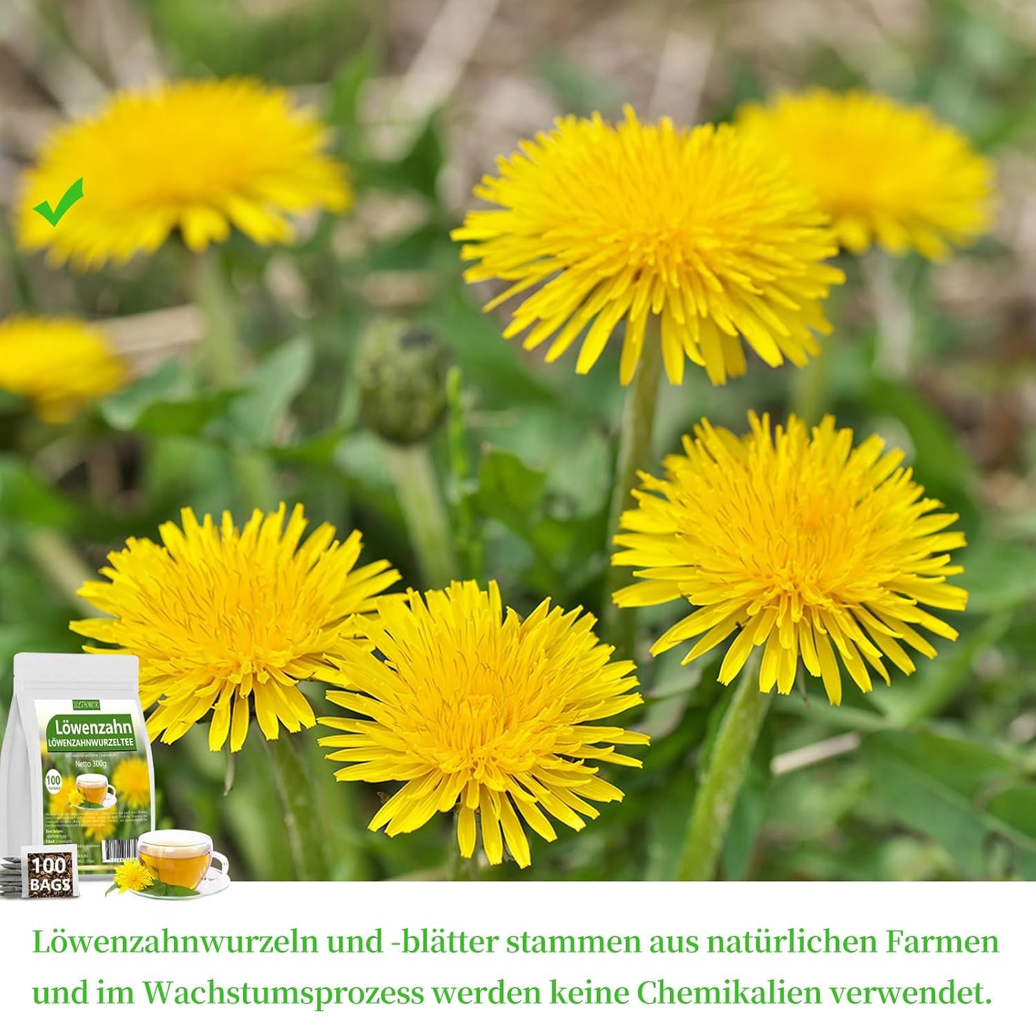 Löwenzahntee Löwenzahnwurzel 100 Teebeutel, Dandelion Root Leaf Tea 100% Natürlich Und Ohne Zusatzstoffe
