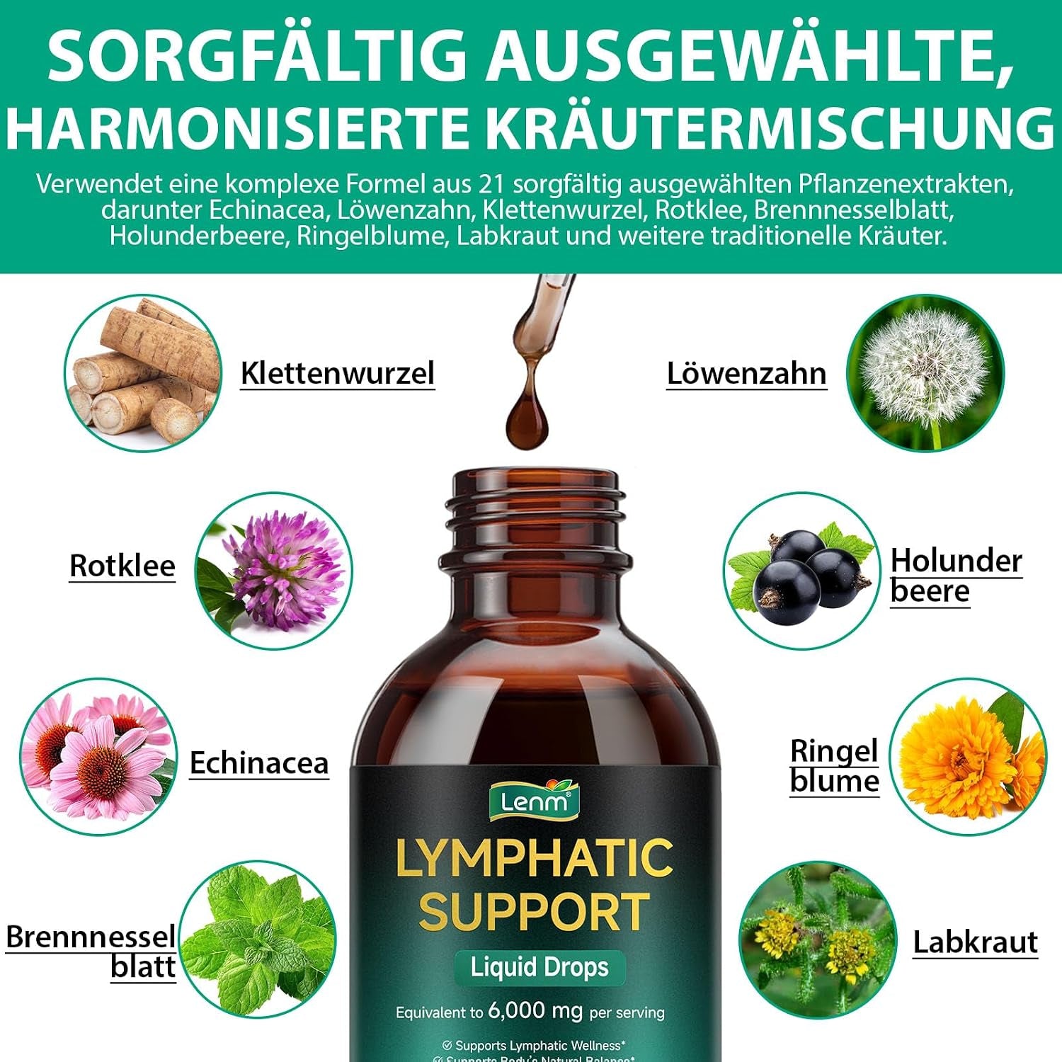 Lymphdrainage Tropfen 21-In-1 – 6000 Mg Liposomale Lymphsystem Unterstützung Mit Echinacea & Löwenzahn – Flüssiges Kräuter-Supplement Zur Unterstützung Von Immunsystem & Natürlicher Reinigung – 60 Ml