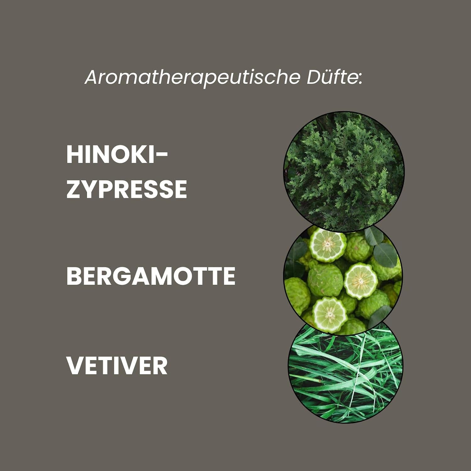 Mancave Hinoki Wood Duschgel Herren 200Ml - Japanisches Zypressenholz Männer Duschgel - Warmer Holzduft - Sulfatfrei, Parabenfrei, Vegan - Premium Shower Gel Körperpflege